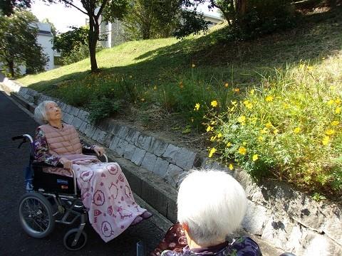 秋の里山散策♪