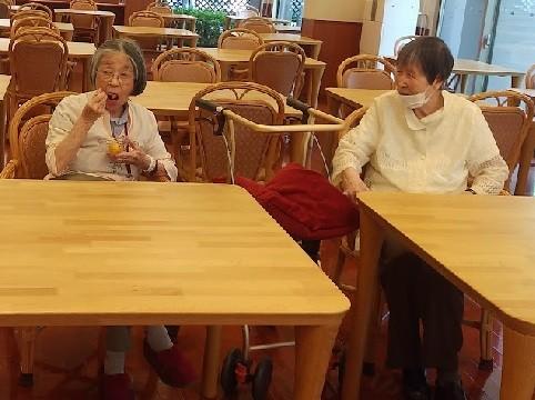 奇跡のマンゴー試食会