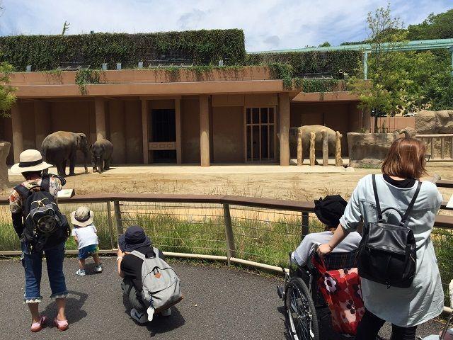 遠足＠東山動物園（2）