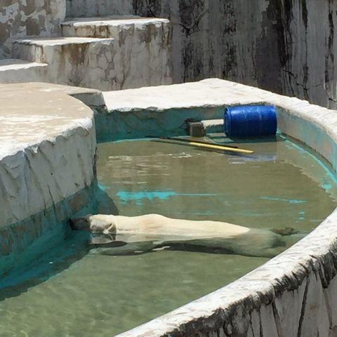 遠足＠東山動物園（5）