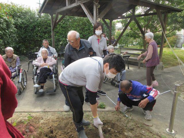 芋堀り