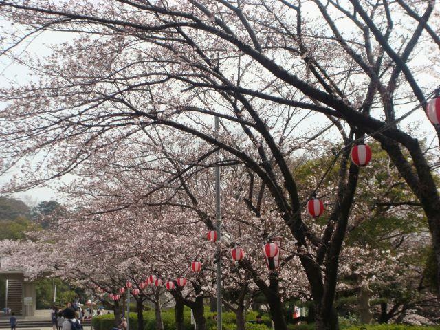 大池公園