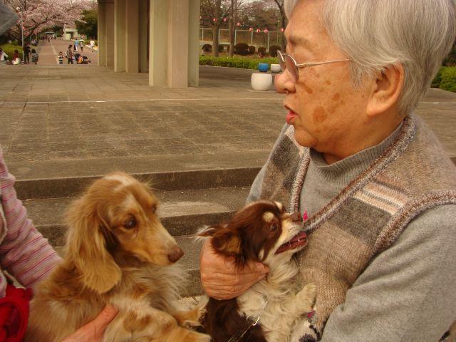 可愛い