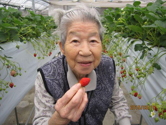 3月19日　お待ちかね！いちご狩り！