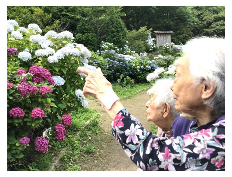 【福岡県筑紫野市】天拝山歴史公園「あじさい園」紫陽花ドライブ