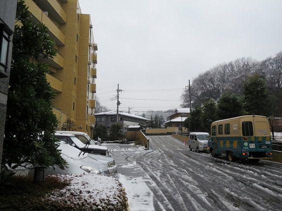 雪が降りました