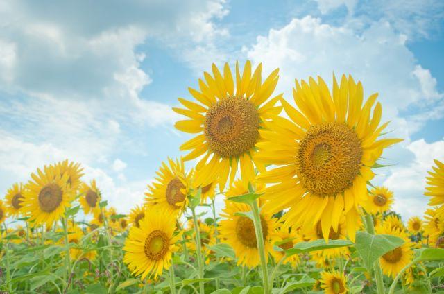 空室状況（8/7現在）