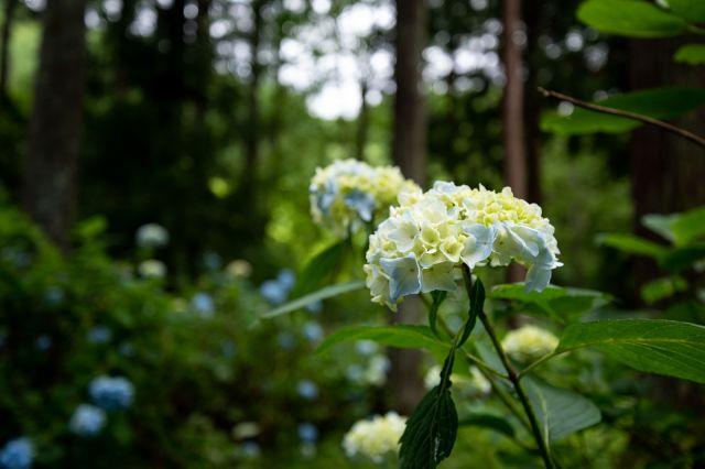 空室状況（6/4現在）