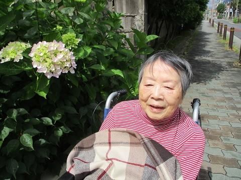 梅雨の晴れ間☆