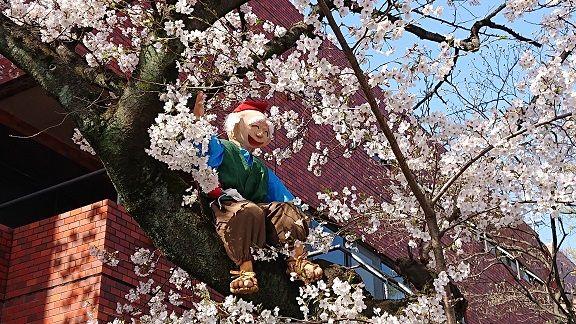 花咲爺さん