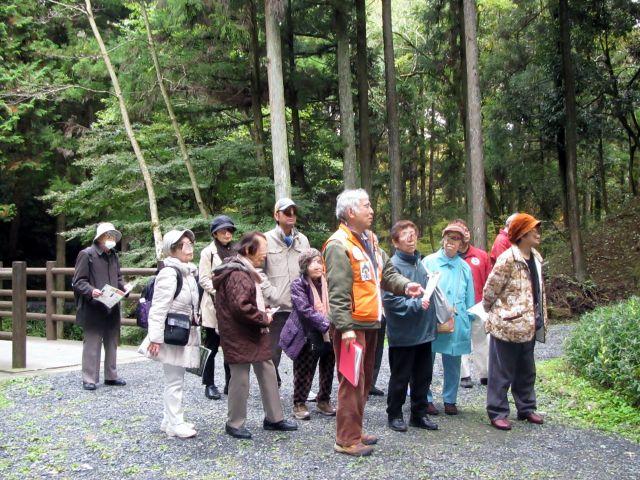 外出企画「八王子城跡」