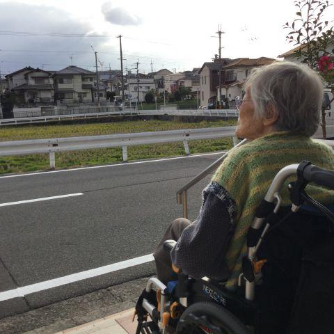 雨上がりのひと時⛅️