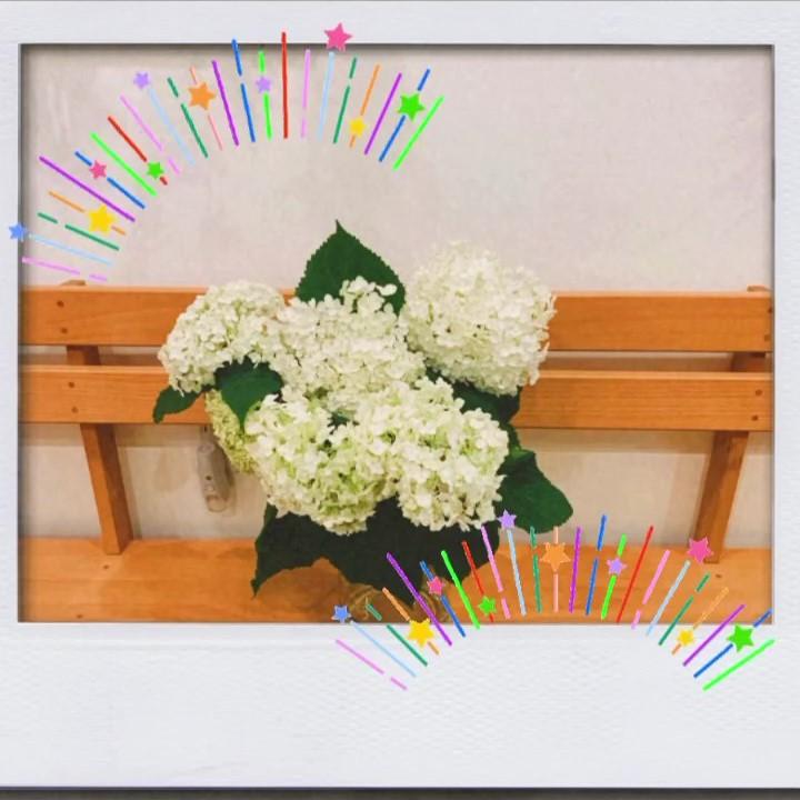 ななさと翔裕館の玄関に🏵️紫陽花の花を飾りました✨✨